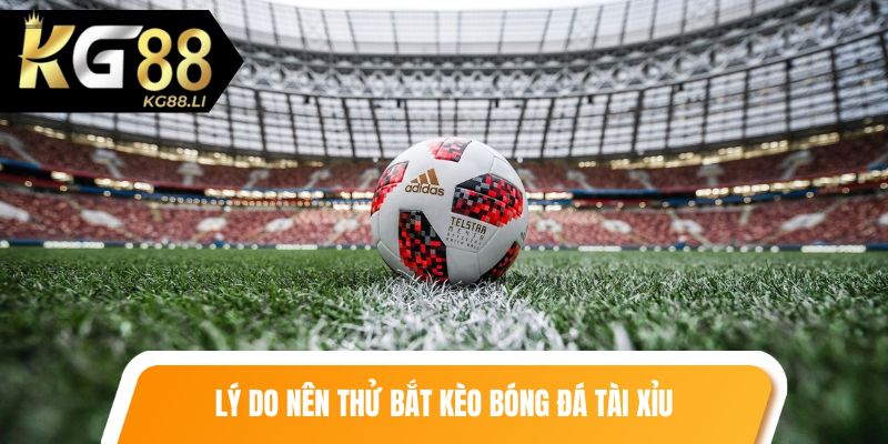 Lý do nên thử bắt kèo bóng đá tài xỉu