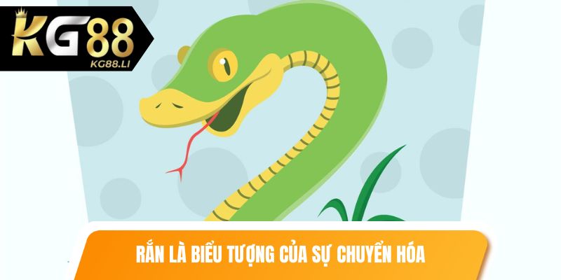 Rắn là biểu tượng của sự chuyển hóa