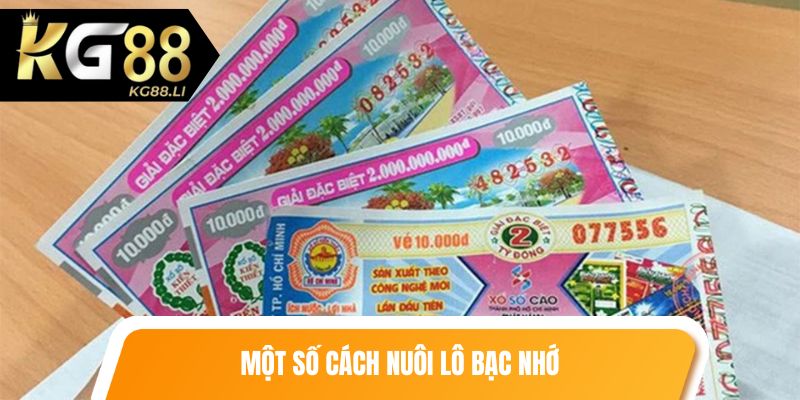 Một số cách nuôi lô bạc nhớ