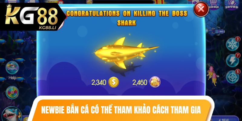 Newbie bắn cá có thể tham khảo cách tham gia