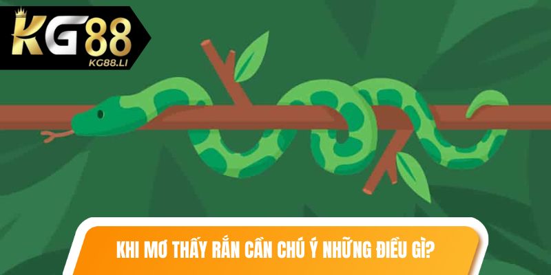 Khi mơ thấy rắn cần chú ý những điều gì?