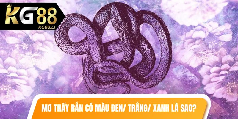 Mơ thấy rắn có màu đen, trắng hoặc xanh là sao?